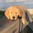 David Tee's avatar