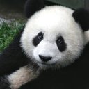 William Smith's avatar